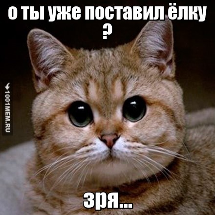 котэ на тропе войны