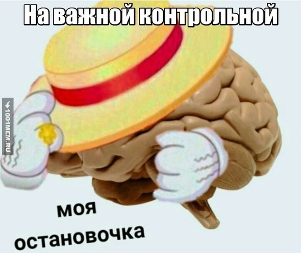 Мой мозг на контрольной.