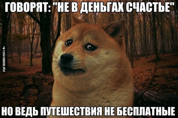 Мои мысли