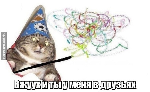 Котик Вжуух