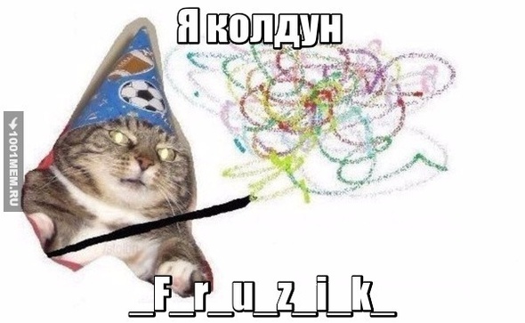 котик