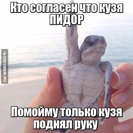 Кузма кузма кузма