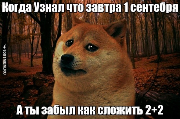 Это же оригинально