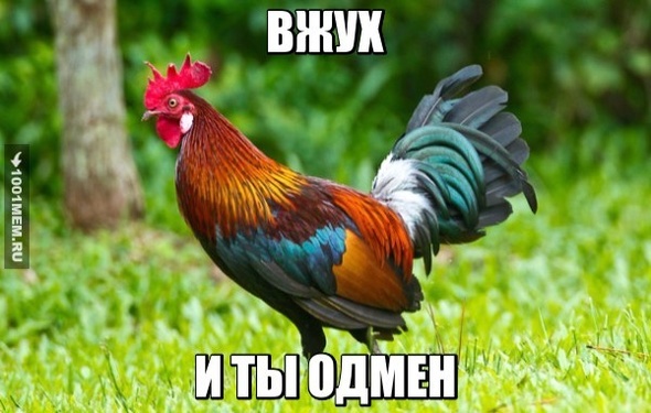 ВЖУХ