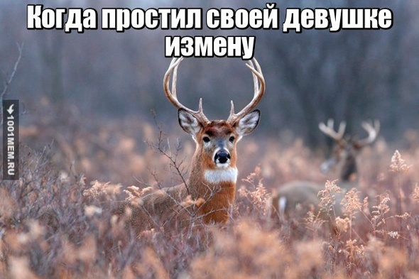 Ну как то так