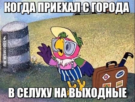 ДОМОЙ ЕДУ