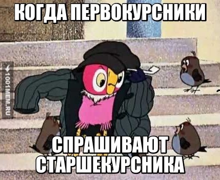 Общение студентов