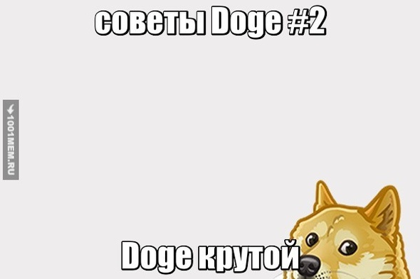 Doge