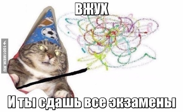 Котик волшебник