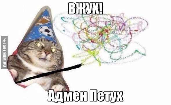 Котик вжух возвращается!