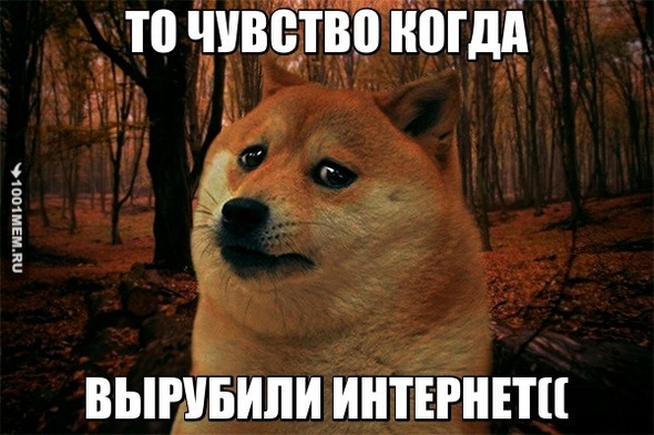 Жиза