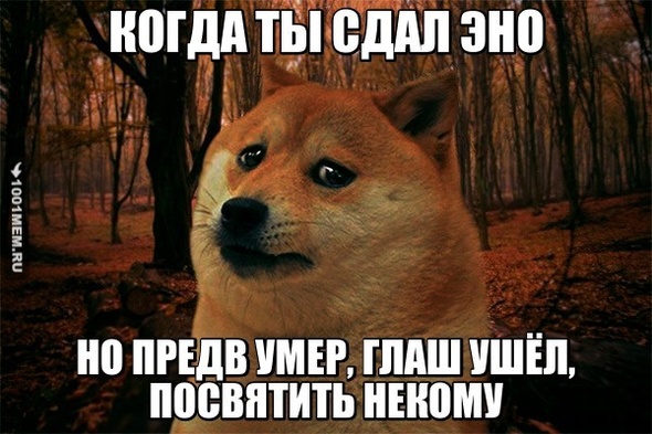 когда тебя не посвящают