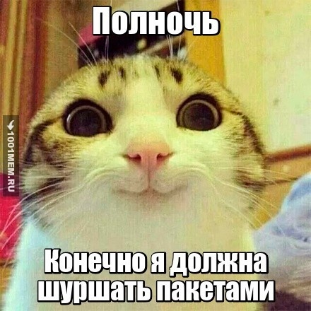 Коты