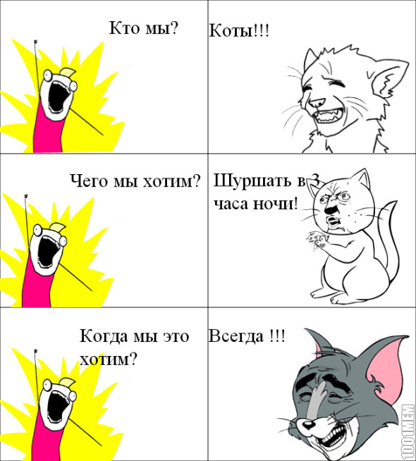 Коты