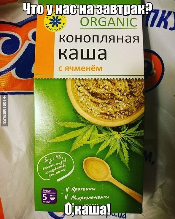 Каша