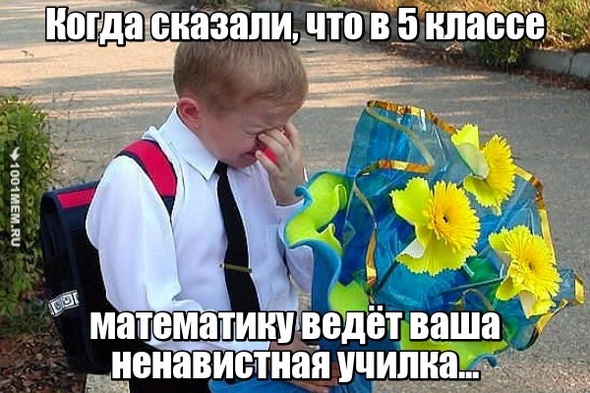 Ох уж эти новые учителя...