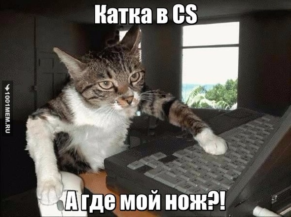 Катка в CS