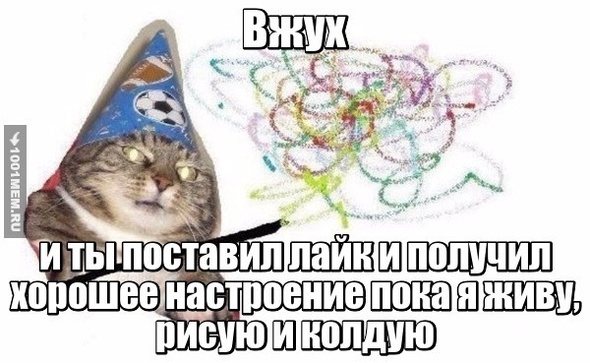 кот вжух и хорошее настроение