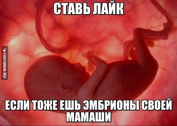 мммммм...... эмбрионы