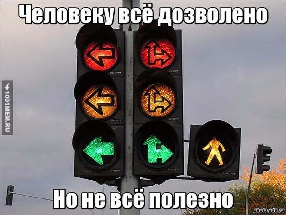 Вседозволенность