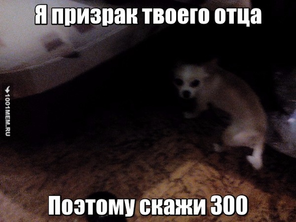 Покажи это другу и но скажет 300