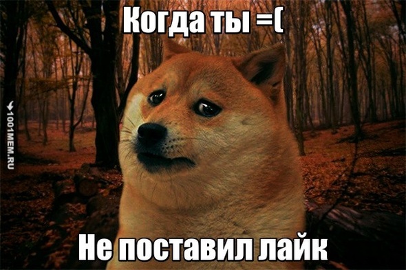 Псс..С тебя лайк