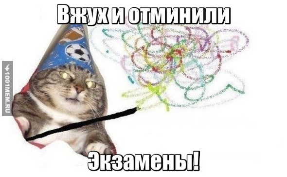 Вжух от котика!