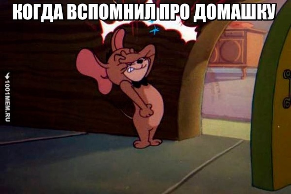 ДОМАШКА