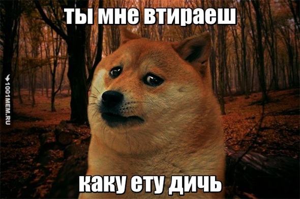 мой ответ учителю