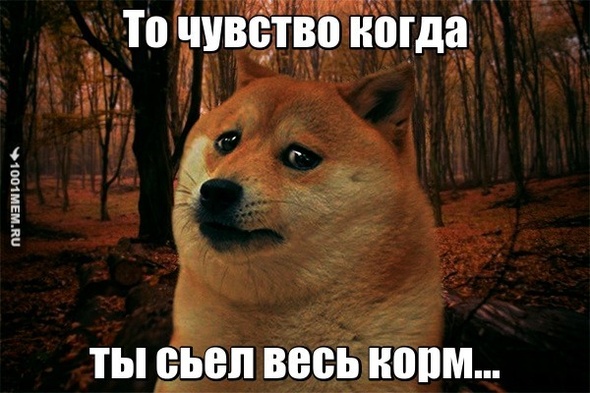 Жиза