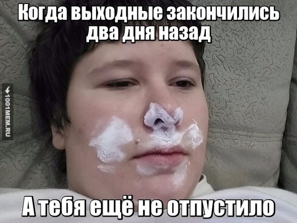 Жиза