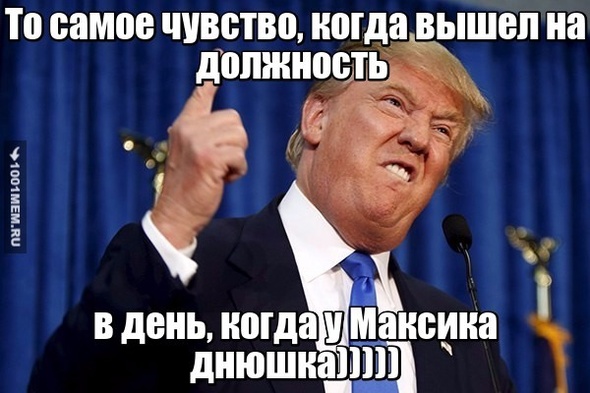 ЛЮБИМЫЙНАШТРАМП