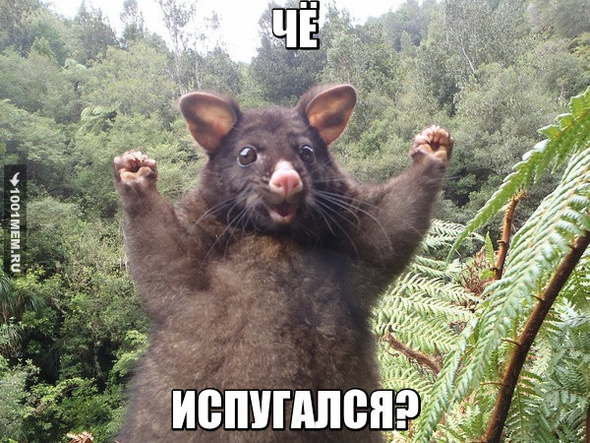 Испугался?