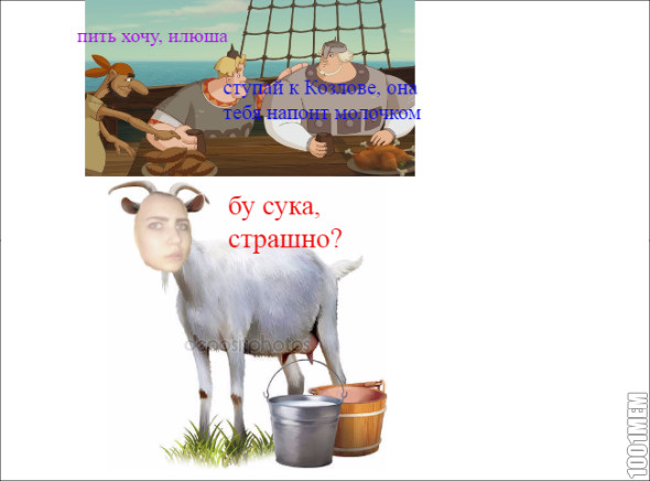 жопа