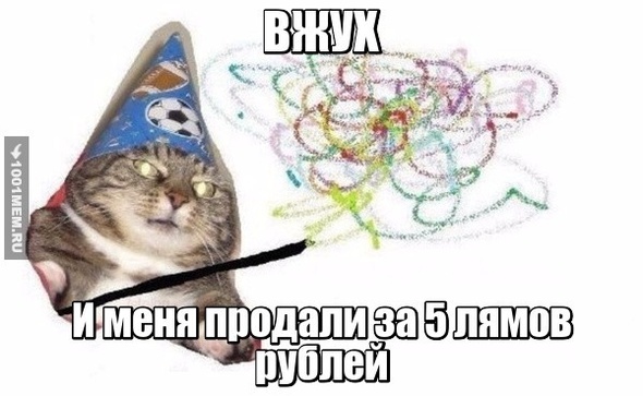 Котейка вжух