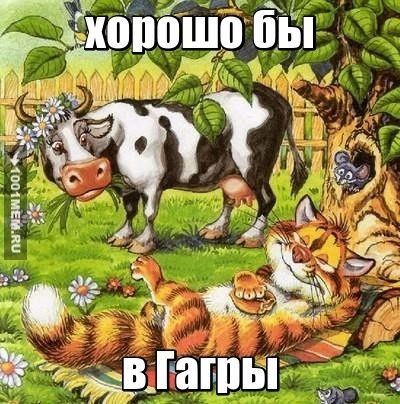 в гагры