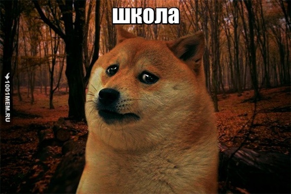 школа