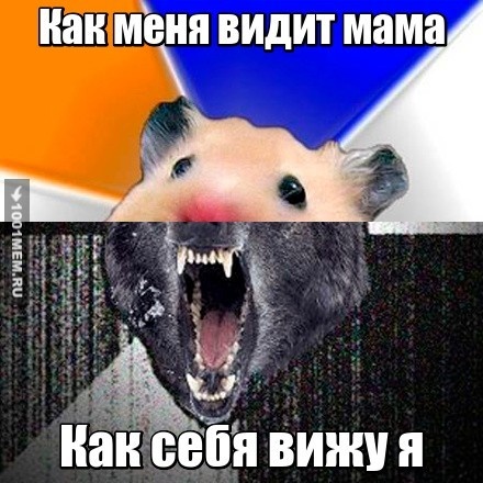 Баян