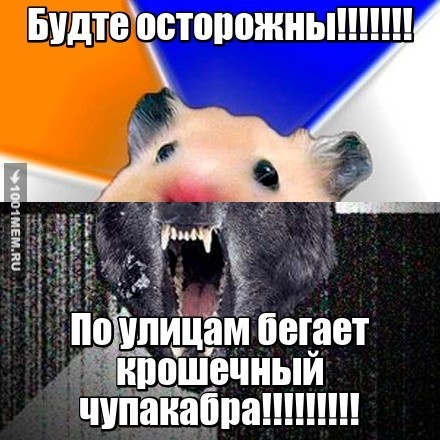 Такой маленьки ЧУПАКАБРА!!!!!!!!