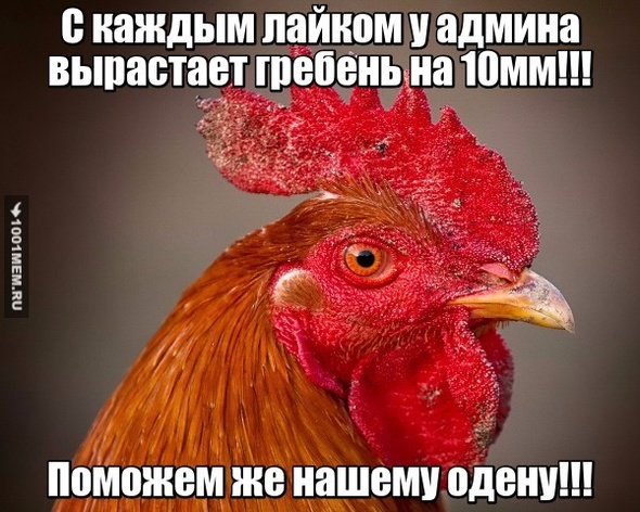 Наш любимый админ!!!