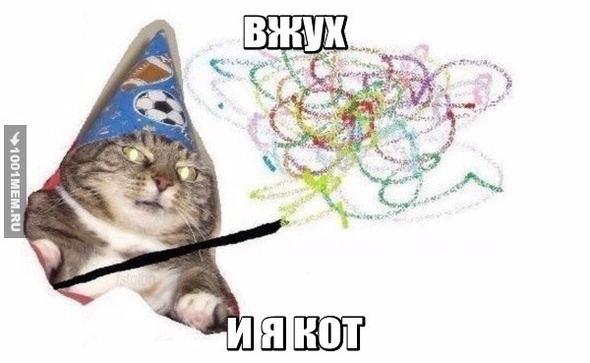 вжух я кот