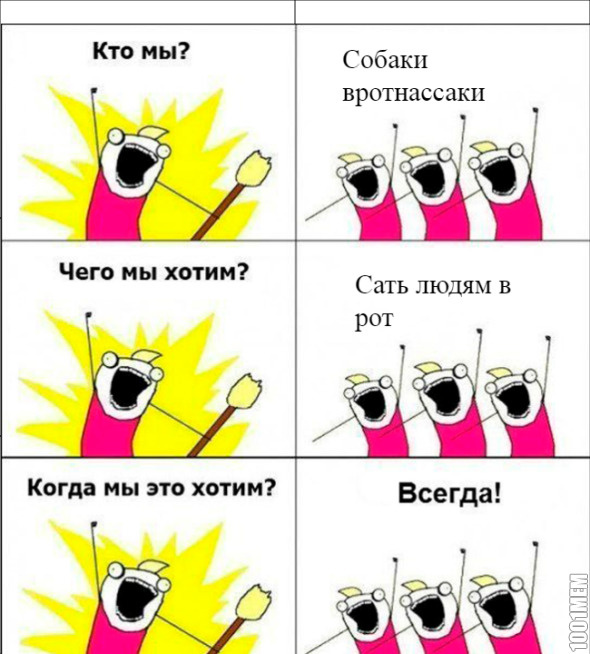 Собака вротнассака