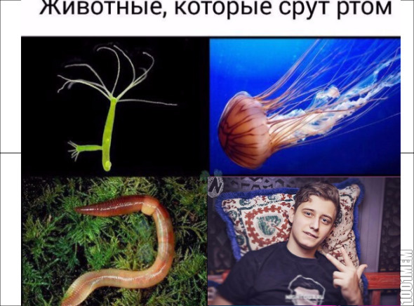 йцу