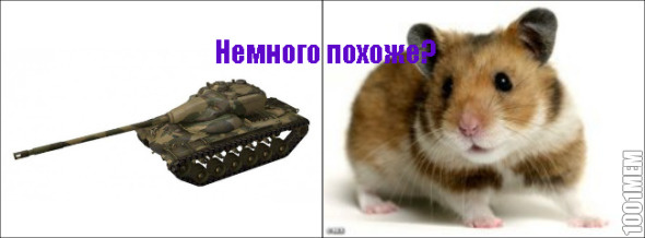 Хомяк