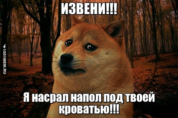 Ха