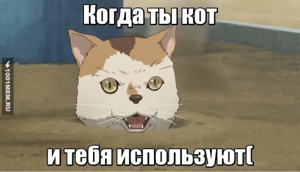 НЕ используйте котов!