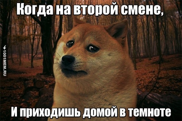 Это просто заголовок