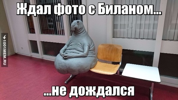 недождун