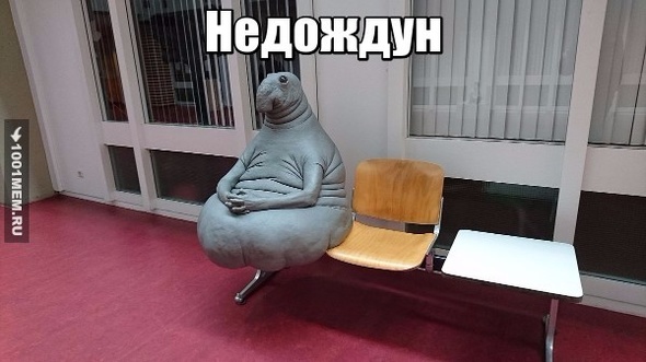 недождунчик