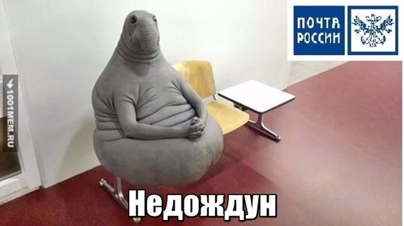 недождун